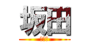 坂田 (サカタ)