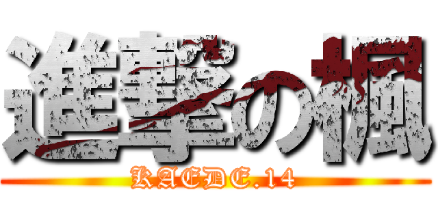 進撃の楓 (KAEDE.14)