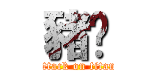 豬雞 (attack on titan)