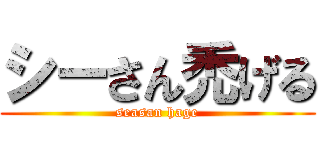 シーさん禿げる (seasan hage)