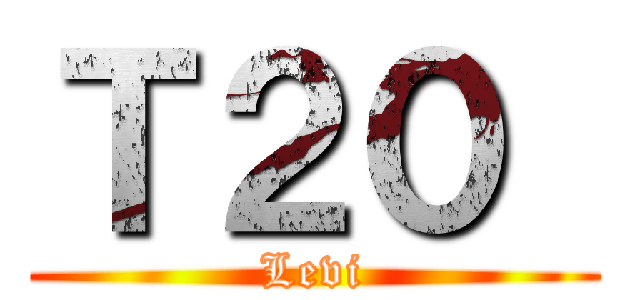 Ｔ２０  (Levi)