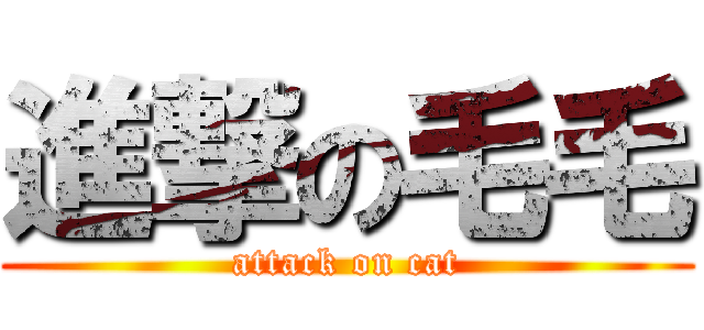 進撃の毛毛 (attack on cat)