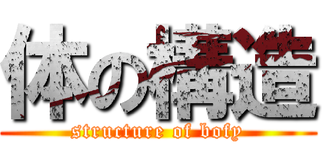 体の構造 (structure of bofy)