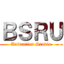 ＢＳＲＵ (Animation Studio)