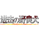 进击の野良犬 (TaiPei Tour)