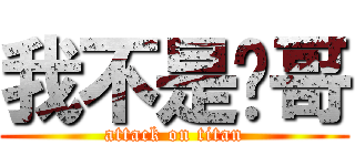 我不是你哥 (attack on titan)