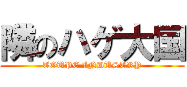 隣のハゲ大国 (TOUPE INDUSTRY)