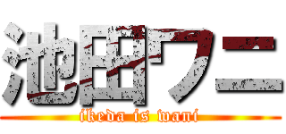 池田ワニ (ikeda is wani)