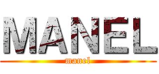 ＭＡＮＥＬ (manel)