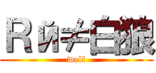 Ｒй≠白狼 (wolf)