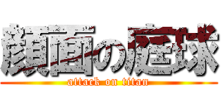 顔面の庭球 (attack on titan)