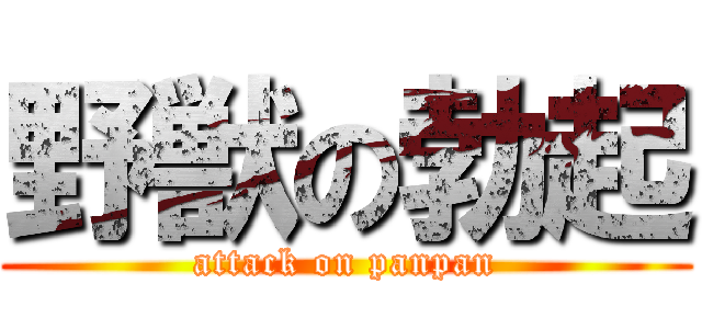 野獣の勃起 (attack on panpan)