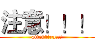 注意！！！ (attention!!!)