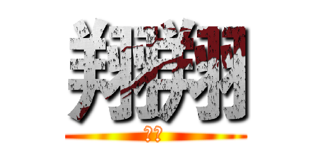 翔翔 (翔翔)
