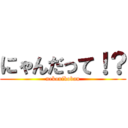 にゃんだって！？ (nekonikoban)