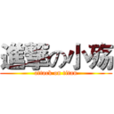 進撃の小殇 (attack on titan)