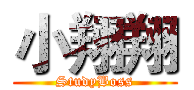 小翔翔 (StudyBoss)