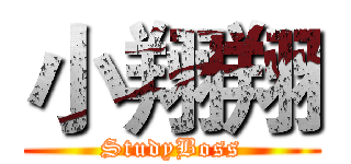 小翔翔 (StudyBoss)