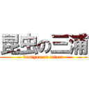 昆虫の三浦 (kontyuu on miura)