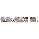 傻逼の刘宝刈（插） (xiaopunb)