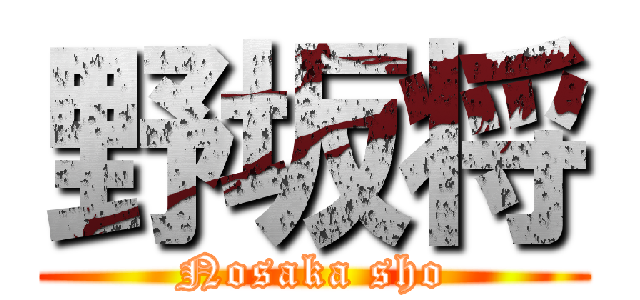野坂将 (Nosaka sho)