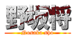 野坂将 (Nosaka sho)
