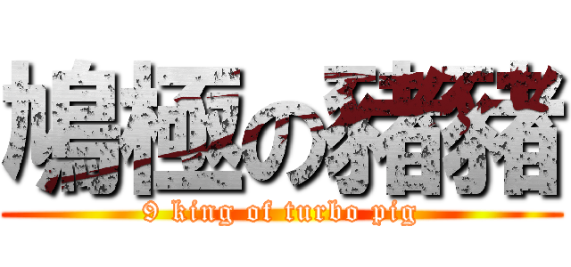 鳩極の豬豬 (9 king of turbo pig)