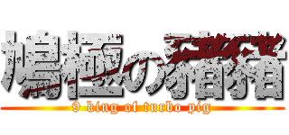 鳩極の豬豬 (9 king of turbo pig)