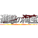 進擊の淘宝 (attack on titan)