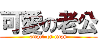 可愛の老公 (attack on titan)