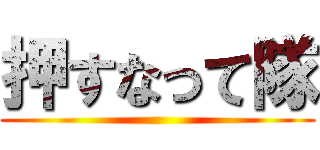 押すなって隊 ()