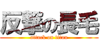 反撃の長毛 (attack on titan)