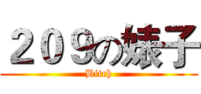 ２０９の婊子 (Bitch)