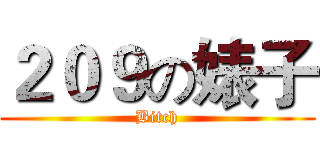 ２０９の婊子 (Bitch)