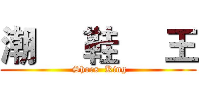 潮     鞋     王 ( Shoes  King)