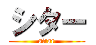 シター (sitar)