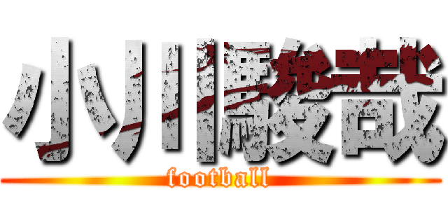 小川駿哉 (football)