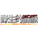 野生的銜嶽 (attack on titan)