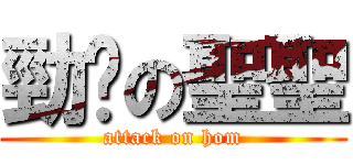 勁揪の聖聖 (attack on hom)
