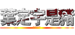 葉定宇是豬 (?!!!!)