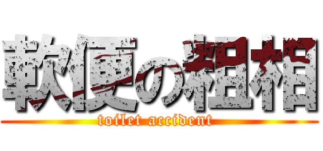 軟便の粗相 (toilet accident )
