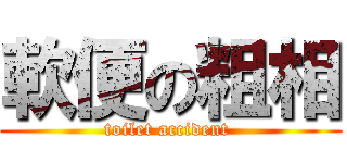軟便の粗相 (toilet accident )