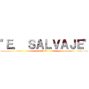 "Ｅ． ＳＡＬＶＡＪＥ" (Ymir)