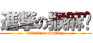 進撃の猴麻糬 (attack on monkey)