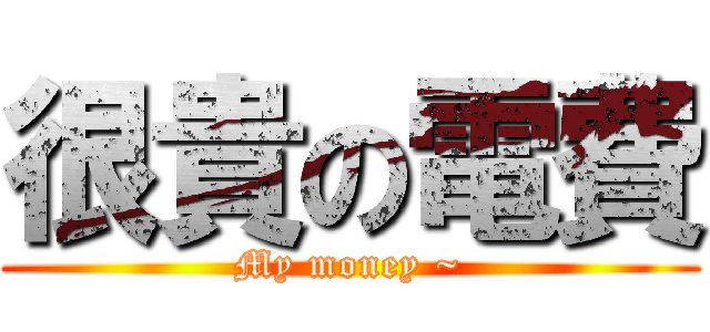 很貴の電費 (My money ~)