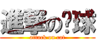 進撃の貓球 (attack on cat)