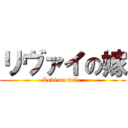 リヴァイの嫁 (Levi no wife )