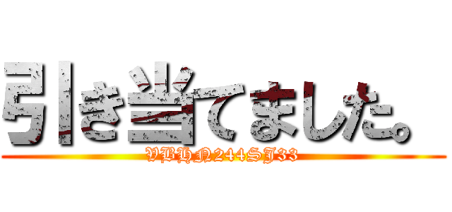 引き当てました。 (VBHN244SJ33)