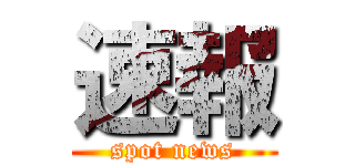 速報 (spot news)