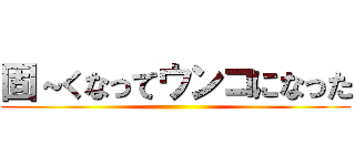 固～くなってウンコになった ()